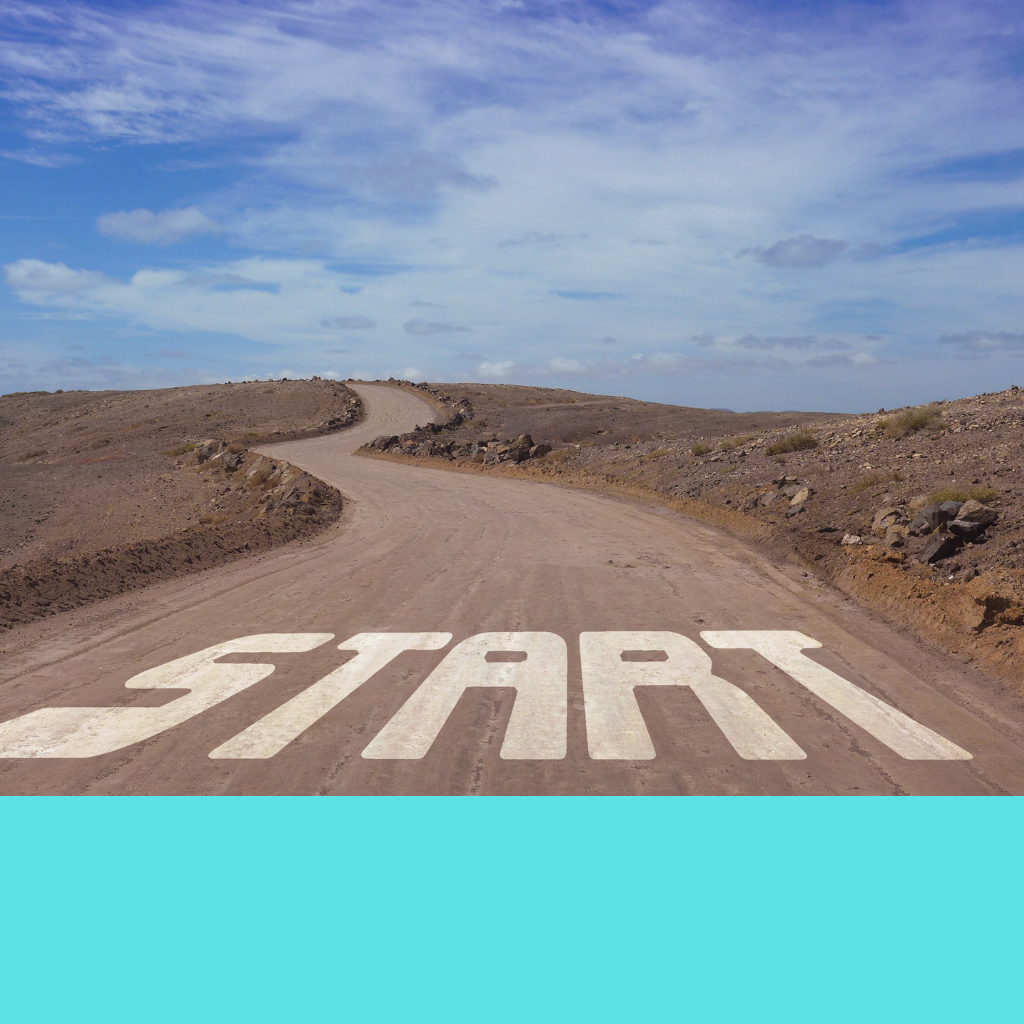 servicios de project management