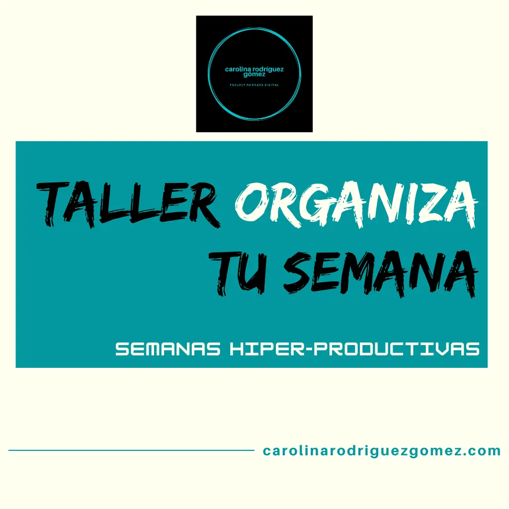 coaching de negocios online